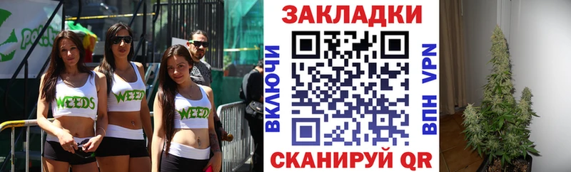 Наркошоп купить Гашиш Галлюциногенные грибы МЕФ APVP Луга