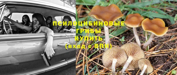 соль ск Богородск