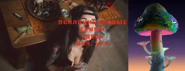 меф Богородицк