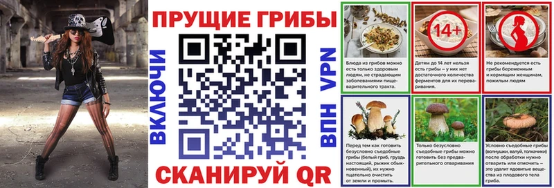 Купить где  Луга  Псилоцибиновые грибы MAGIC MUSHROOMS 