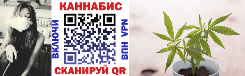 Купить  Луга  Марихуана OG Kush 